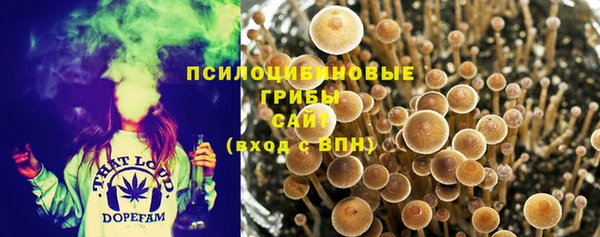 метадон Верея